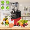 300W Cold Press Juicer Machine – Slow Masticating Juicer for Anything