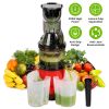 300W Cold Press Juicer Machine – Slow Masticating Juicer for Anything