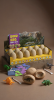 Dinosaur Egg Dig Kit STEM