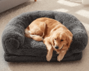 Oversized Dog Bed –  Plush Orthopedic Bed for Pets & Pet owner