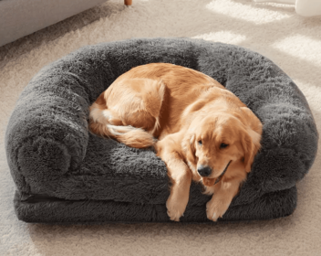 Oversized Dog Bed –  Plush Orthopedic Bed for Pets & Pet owner
