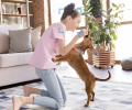 Smart 3K 5MP Indoor Security Camera