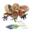 Dinosaur Egg Dig Kit STEM