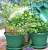 Gardening Hand Tools Starter Kit with Bag | Complete Garden Tool Set