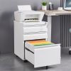 3-Drawer Mobile File Cabinet with Lock