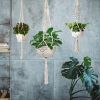 2 Pcs Plant Hanger Flowerpot
