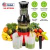 300W Cold Press Juicer Machine – Slow Masticating Juicer for Anything